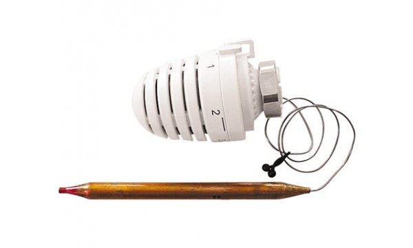Daviklis termostatinis M30 20-50°C su 2 metrų ilgio kapiliaru